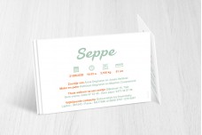 Spelend vosje Spelend vosje